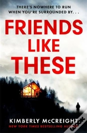 Capa do artigo Friends Like These