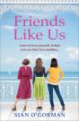 Friends Like Us - Preview