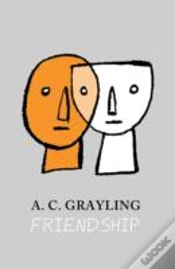 Capa do artigo Friendship