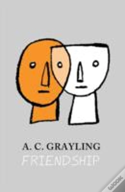 Capa do artigo Friendship