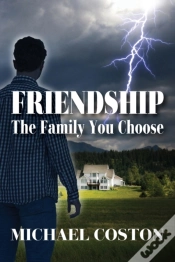 Capa do artigo Friendship