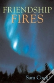 Capa do artigo Friendship Fires