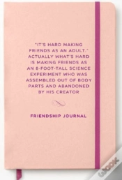 Capa do artigo Friendship