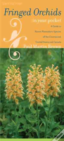 Capa do artigo Fringed Orchids In Your Pocket