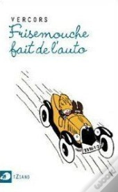 Frisemouche Fait De L Auto