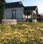 Fritz Haeg - Wildflowering L.A. - Preview