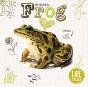 Frog - Preview