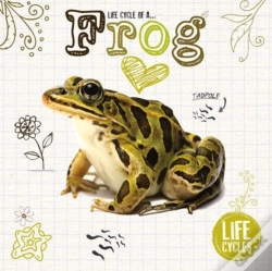 Capa do artigo Frog
