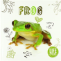 Frog - Preview