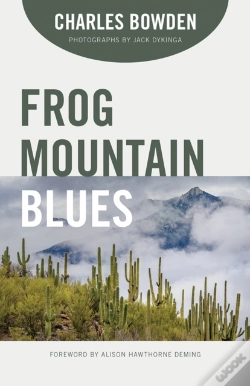 Capa do artigo Frog Mountain Blues