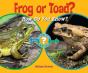 Frog Or Toad? - Preview