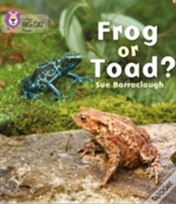 Capa do artigo Frog Or Toad?