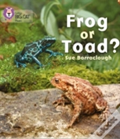 Capa do artigo Frog Or Toad?