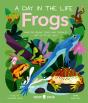 Frogs (A Day In The Life) - Preview