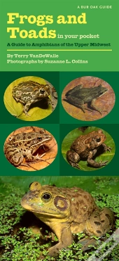 Frogs And Toads In Your Pocket