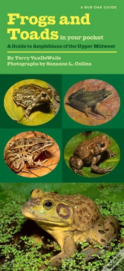 Capa do artigo Frogs And Toads In Your Pocket
