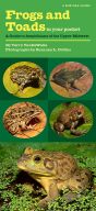 Frogs And Toads In Your Pocket - Preview
