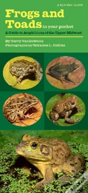 Capa do artigo Frogs And Toads In Your Pocket