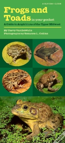Capa do artigo Frogs And Toads In Your Pocket