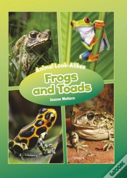 Capa do artigo Frogs And Toads