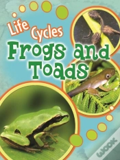 Capa do artigo Frogs And Toads