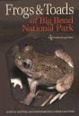 Frogs And Toads Of Big Bend National Park - Preview