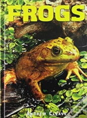 Capa do artigo Frogs