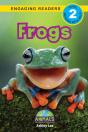 Frogs - Preview