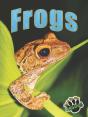 Frogs - Preview