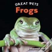 Capa do artigo Frogs