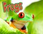 Frogs - Preview