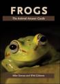 Frogs - Preview