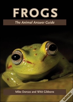 Capa do artigo Frogs