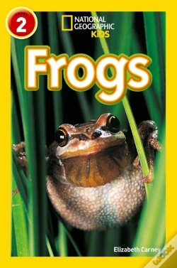 Capa do artigo Frogs