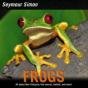 Frogs - Preview