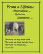 From A Lifetime - Observations, Opinions, Sentiments - Preview