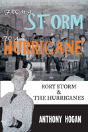 From A Storm To A Hurricane - Preview