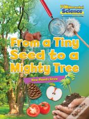 From A Tiny Seed To A Mighty Tree