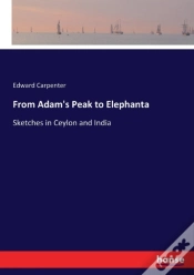 Capa do artigo From Adam