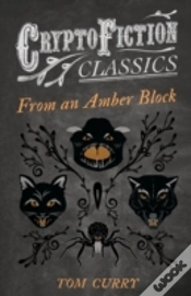 Capa do artigo From An Amber Block (Cryptofiction Classics)