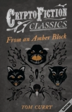 Capa do artigo From An Amber Block (Cryptofiction Classics)
