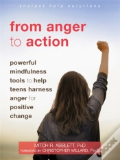 Capa do artigo From Anger To Action
