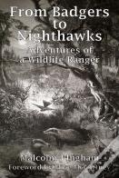 From Badgers To Nighthawks