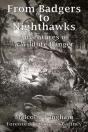 From Badgers To Nighthawks - Preview