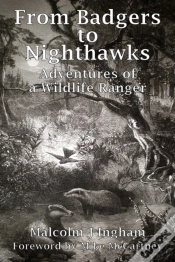 Capa do artigo From Badgers To Nighthawks