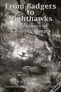 Capa do artigo From Badgers To Nighthawks