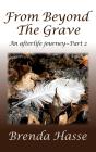 From Beyond The Grave - Preview