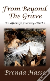 Capa do artigo From Beyond The Grave