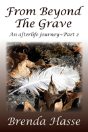 From Beyond The Grave - Preview