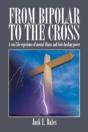 From Bipolar To The Cross - A Real Life - Preview